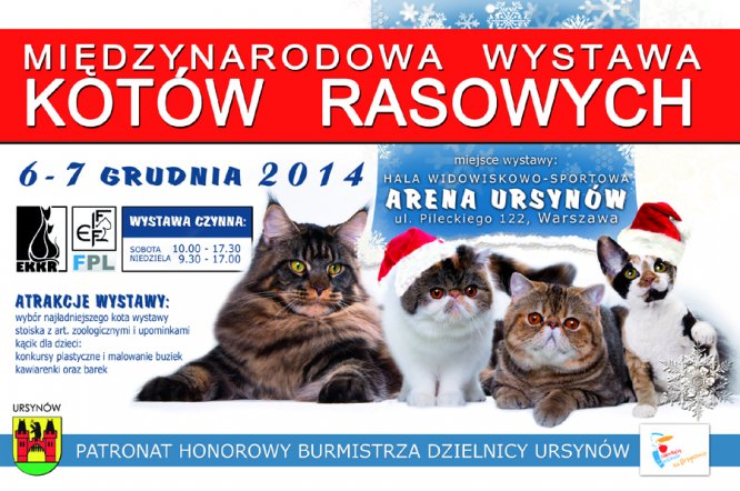 Rasowe koty w Hali Arena Ursynów