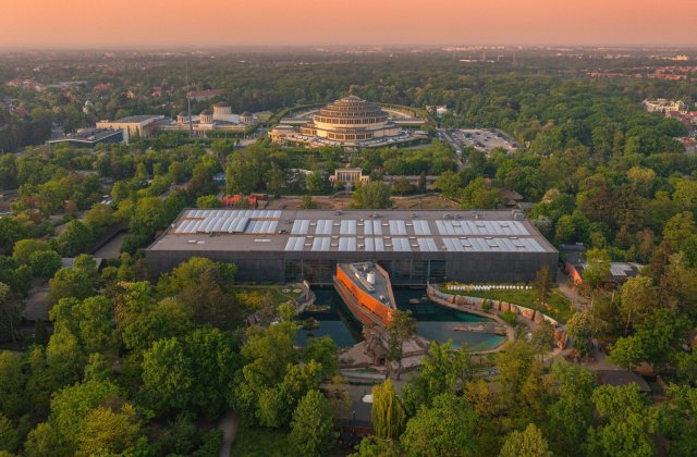 Afrykanarium w garniturze, czyli konferencja w ZOO Wrocław