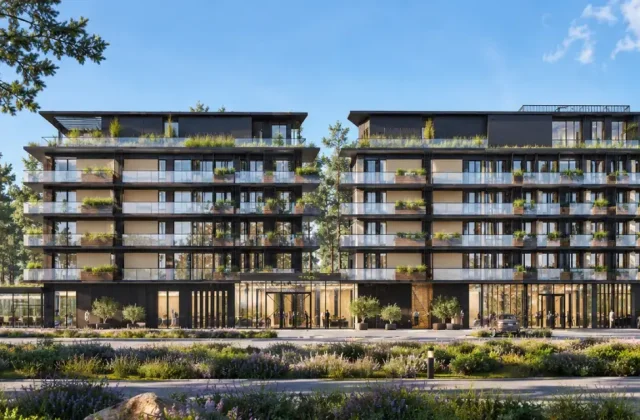 Solo Resort