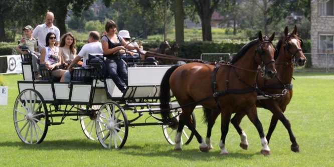 Grupa Hotelowa Molo rozpoczyna współpracę ze stadniną Stado Ogierów w Bogusławicach 