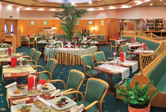 hotel *** - Hotel MERCURE Jelenia Góra - Usługi - zdjęcie 1