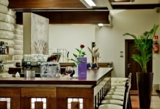 hotel **** - Hotel Crocus - Usługi - zdjęcie 1
