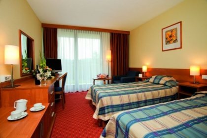 hotel *** - Hotel Mercure Skalny Karpacz - zdjęcie 3