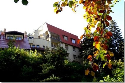 obiekt konferencyjny - Centrum Szkoleniowo-Wypoczynkowe Carmen - zdjęcie 2