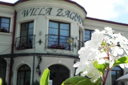 pałac - Willa Zagórze - nowy obiekt 6 km od Warszawy - hotel, restauracja, catering - zdjęcie 8