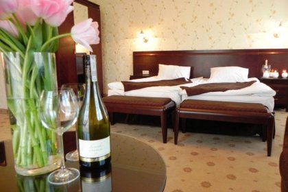 pałac - Willa Zagórze - nowy obiekt 6 km od Warszawy - hotel, restauracja, catering - zdjęcie 20