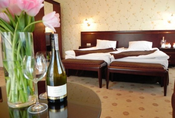 pałac - Willa Zagórze - nowy obiekt 6 km od Warszawy - hotel, restauracja, catering - Pokoje - zdjęcie 10