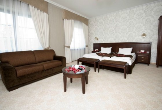 pałac - Willa Zagórze - nowy obiekt 6 km od Warszawy - hotel, restauracja, catering - Pokoje - zdjęcie 7