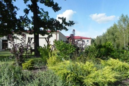 pałac - Willa Zagórze - nowy obiekt 6 km od Warszawy - hotel, restauracja, catering - zdjęcie 26