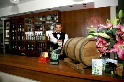 hotel *** - Hotel Ideal w Pruszkowie - zdjęcie 1