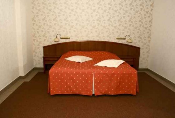 hotel *** - Hotel Ideal w Pruszkowie - Pokoje - zdjęcie 1
