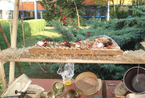 hotel *** - Hotel Orbis Aria w Sosnowcu - Usługi - zdjęcie 3