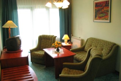 hotel - Hotel Pod Kaczorem - zdjęcie 3