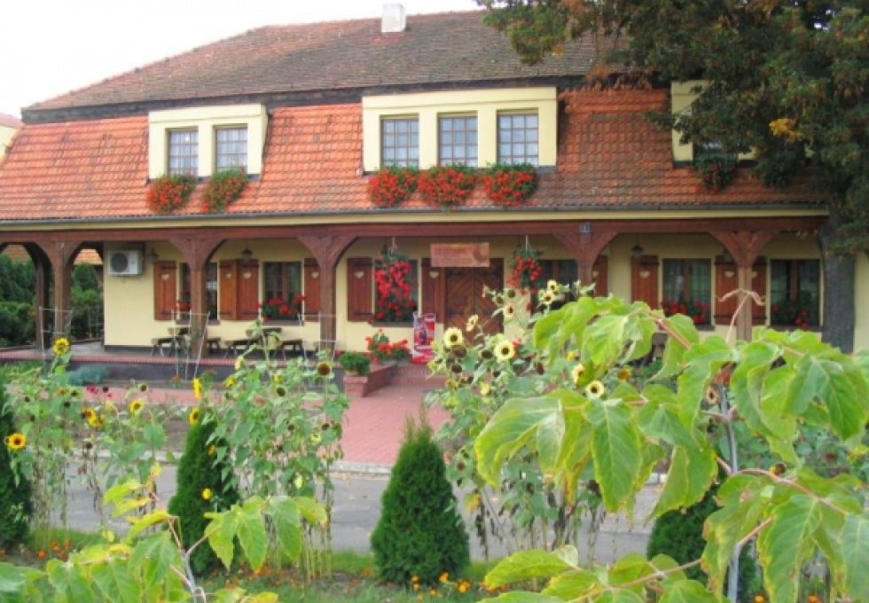 hotel - Hotel Pod Kaczorem
