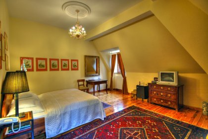 pałac - Hotel Krasków - zdjęcie 7