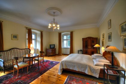 pałac - Hotel Krasków - zdjęcie 8