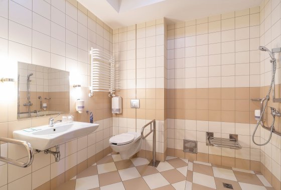 hotel *** - Hotel Dal - Pokoje - zdjęcie 15