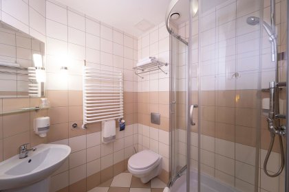 hotel *** - Hotel Dal - zdjęcie 30