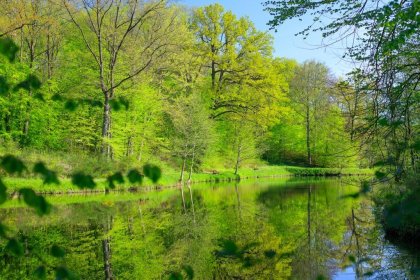 hotel - Dolina Charlotty Resort & Spa - zdjęcie 33