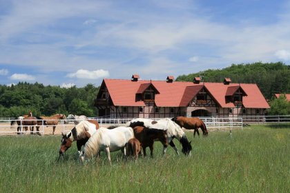 hotel - Dolina Charlotty Resort & Spa - zdjęcie 87
