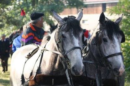 obiekt konferencyjny - Ośrodek Szkoleniowo Wypoczynkowy KAMA - zdjęcie 6