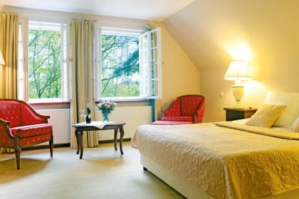 hotel *** - Smolarnia Hotel & Restaurant - zdjęcie 8