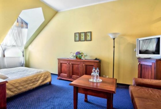 hotel *** - Dwór Czarneckiego *** - Pokoje - zdjęcie 8