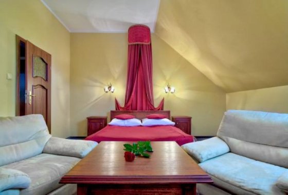 hotel *** - Dwór Czarneckiego *** - Pokoje - zdjęcie 3