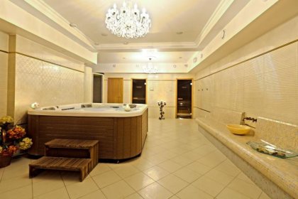 hotel *** - Dwór Czarneckiego *** - zdjęcie 24