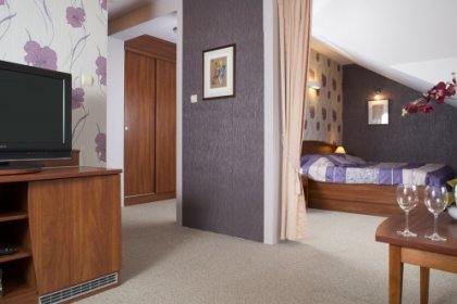 hotel **** - Hotel & Conference Center -Bobrowa Dolina - zdjęcie 1