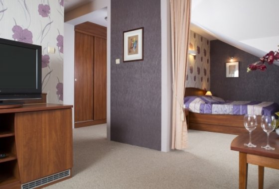 hotel **** - Hotel & Conference Center -Bobrowa Dolina - Pokoje - zdjęcie 1
