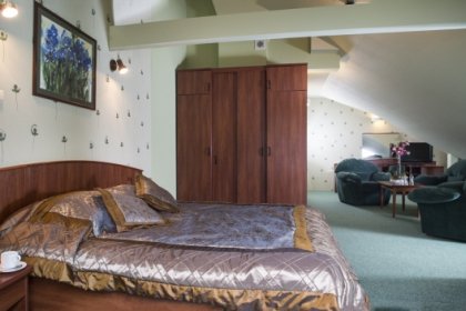 hotel **** - Hotel & Conference Center -Bobrowa Dolina - zdjęcie 3
