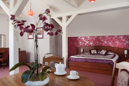 hotel **** - Hotel & Conference Center -Bobrowa Dolina - zdjęcie 2
