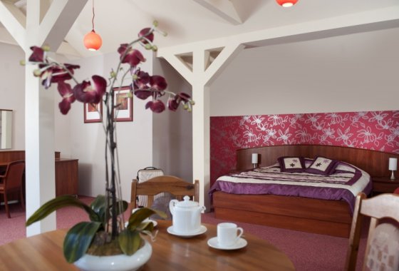 hotel **** - Hotel & Conference Center -Bobrowa Dolina - Pokoje - zdjęcie 2