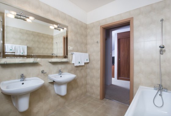 hotel **** - Hotel & Conference Center -Bobrowa Dolina - Pokoje - zdjęcie 4