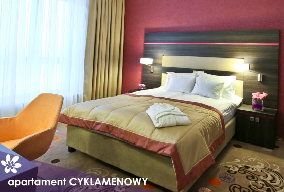 hotel **** - Hotel Szafran**** - Pokoje - zdjęcie 7