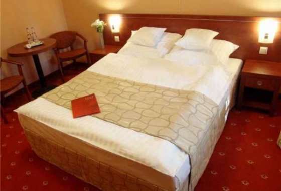 hotel - Hotel-Restauracja Lwów - Pokoje - zdjęcie 1
