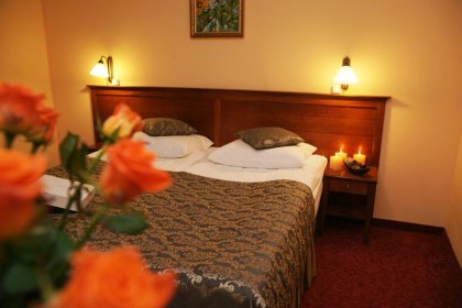 hotel *** - Hotel Wellness & SPA Nowy Dwór - zdjęcie 11