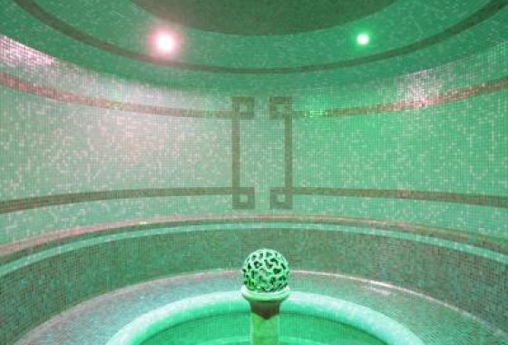 hotel *** - Hotel Wellness & SPA Nowy Dwór - Usługi - zdjęcie 10