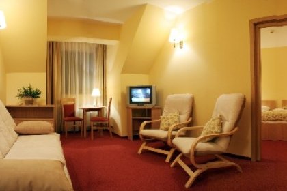 hotel *** - Ski Hotel - zdjęcie 3