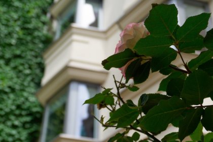 hotel *** - Hotel Logos *** Kraków - zdjęcie 3