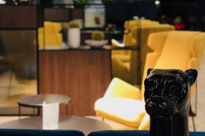 hotel **** - Andersia Hotel & SPA, a member of Radisson Individuals - zdjęcie 6