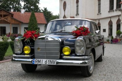 zamek - Zamek Przecław - zdjęcie 12