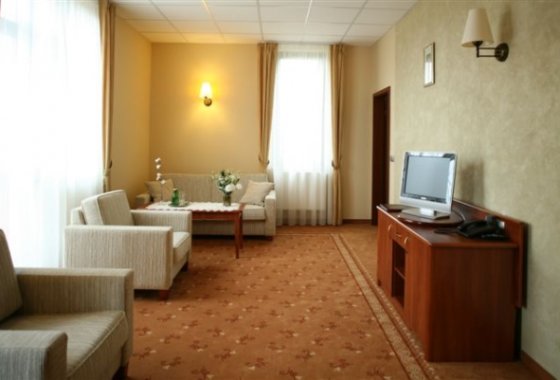 hotel **** - Hotel Zawiercie**** - Pokoje - zdjęcie 1