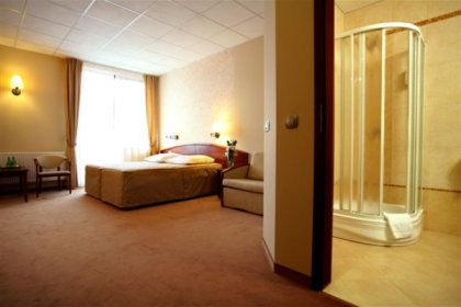 hotel **** - Hotel Zawiercie**** - zdjęcie 5