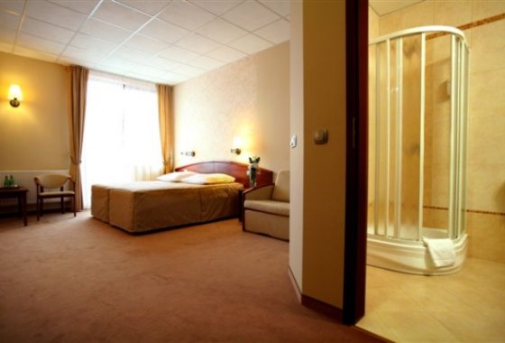 hotel **** - Hotel Zawiercie**** - Pokoje - zdjęcie 4
