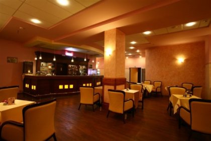hotel **** - Hotel Zawiercie**** - zdjęcie 9