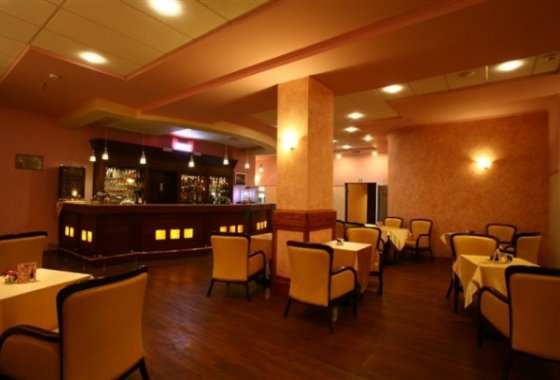 hotel **** - Hotel Zawiercie**** - Usługi - zdjęcie 1