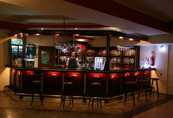 hotel **** - Hotel Zawiercie**** - Usługi - zdjęcie 2