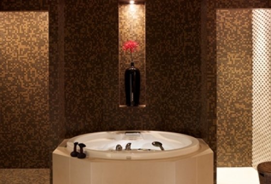 hotel ***** - Modrzewie Park Hotel & SPA ***** - Usługi - zdjęcie 3